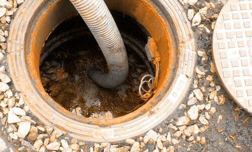 ассенизатор всеволожск